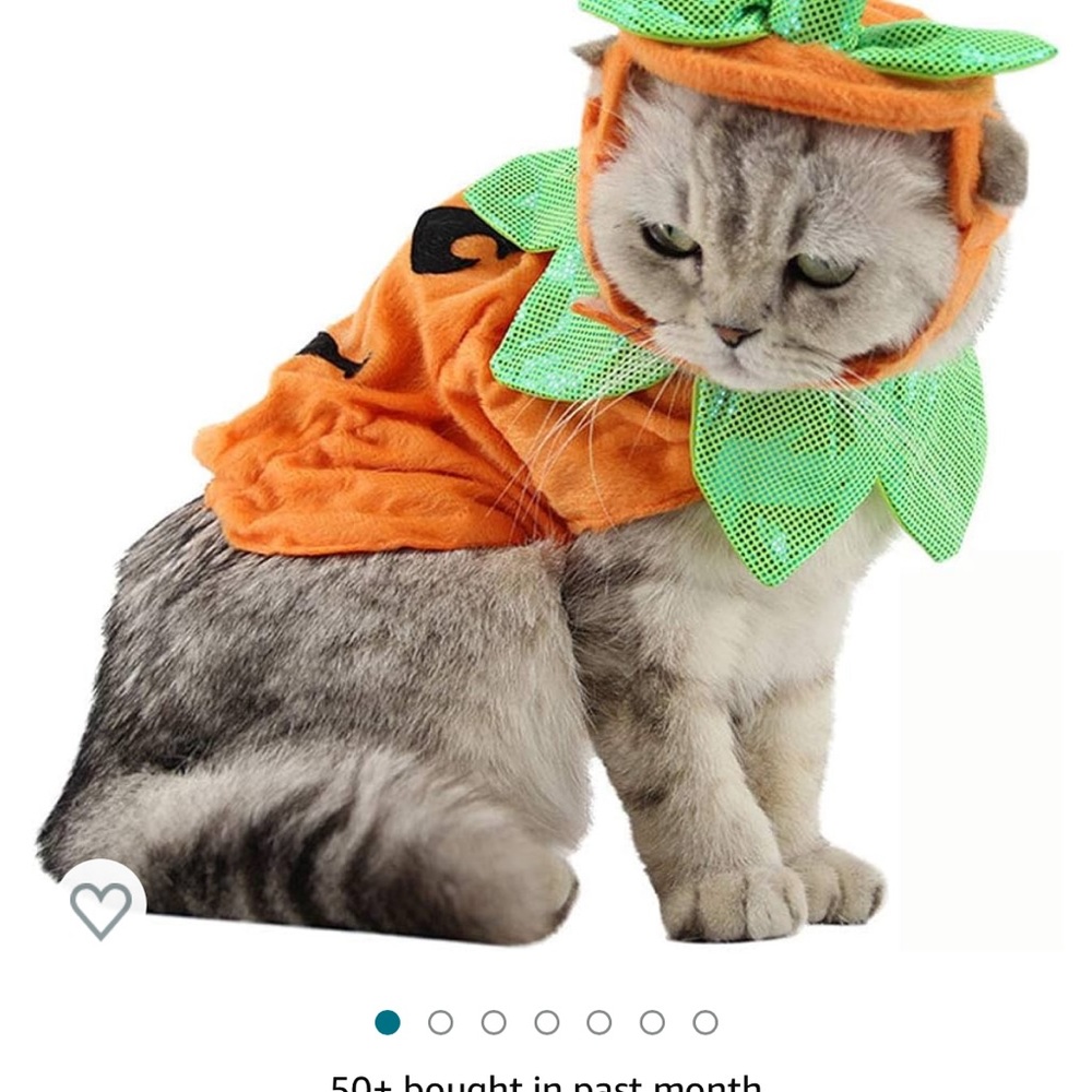 Halloween Pet Pumpkin Costume